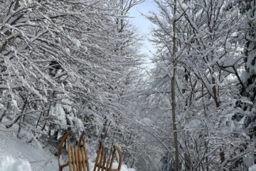 a couple of sleds that are in the snow